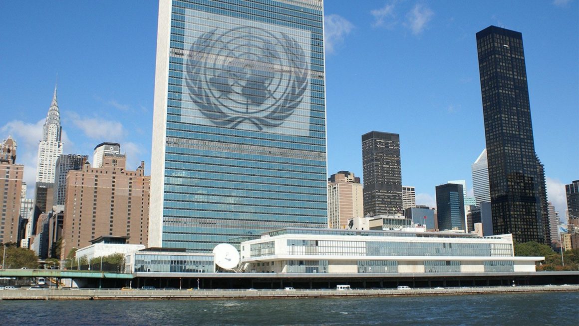 L’ONU approva la prima Risoluzione per le malattie rare